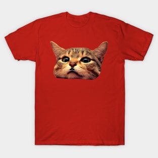 Fancy cat T-Shirt